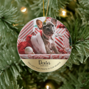 Photo Pet Dog Cat In Loving Memory Memorial Ceramic Ornament