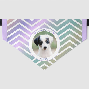 photo pet lovers modern stripes love dogs bandana collar
