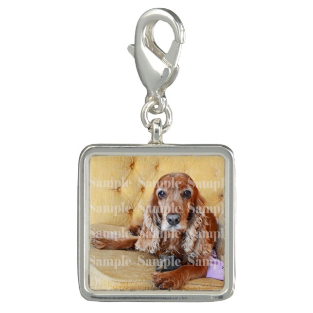 Photo pet memorial loss PERSONALIZE Charm (Front)