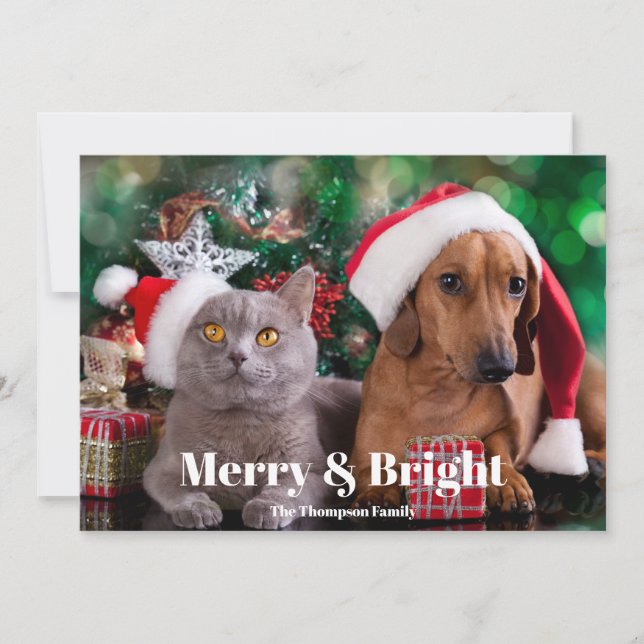 Photo Pet Merry and Bright  Holiday Card (Front)