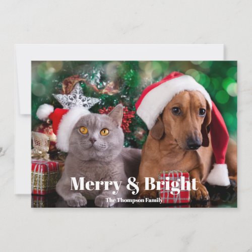 Photo Pet Merry and Bright  Holiday Card