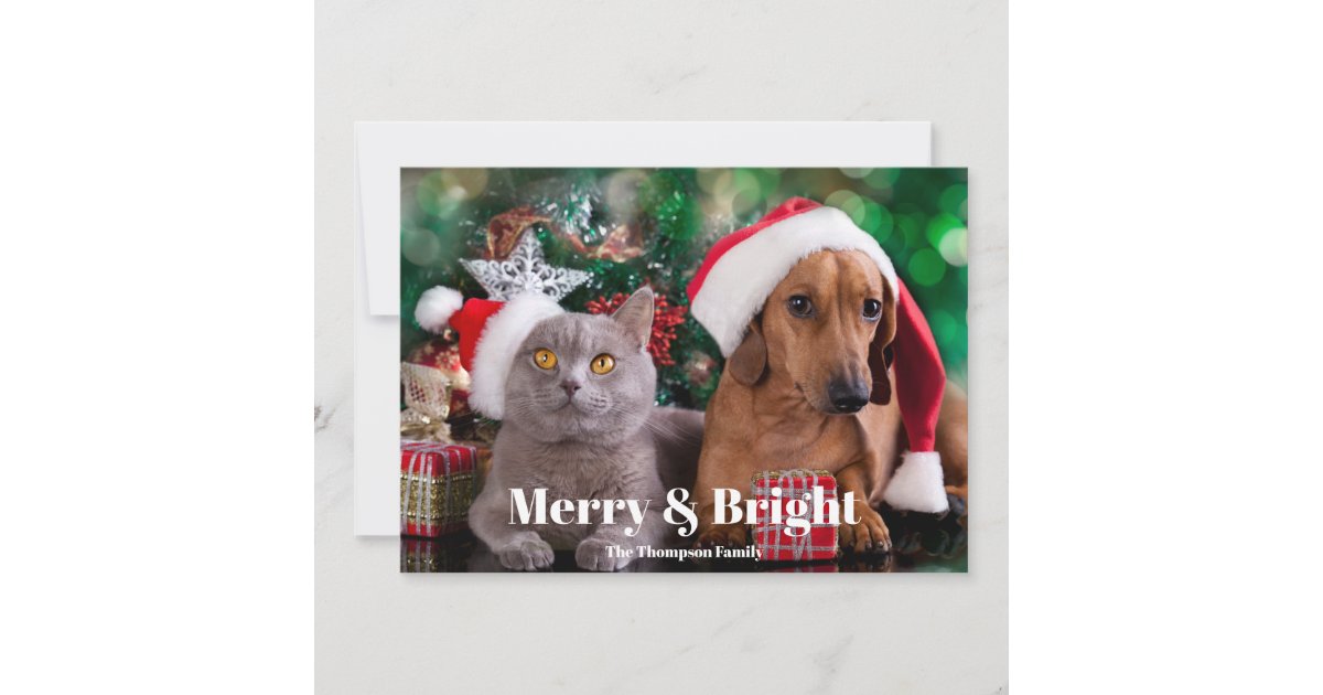 Photo Pet Merry and Bright Holiday Card | Zazzle