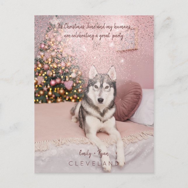 Photo Pet Sophisticated Christmas Party Postcard (Front)