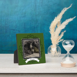 Photo Plaque in any color