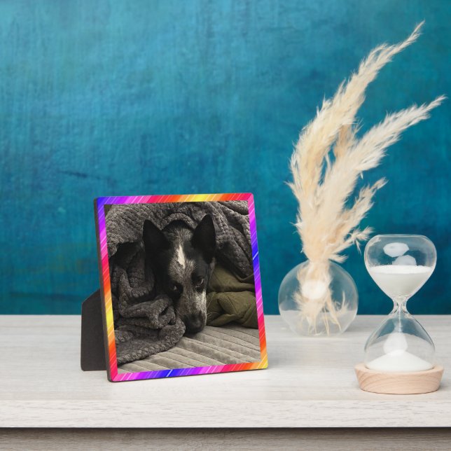 Photo Plaque Neon Border HAMbWG (Insitu)