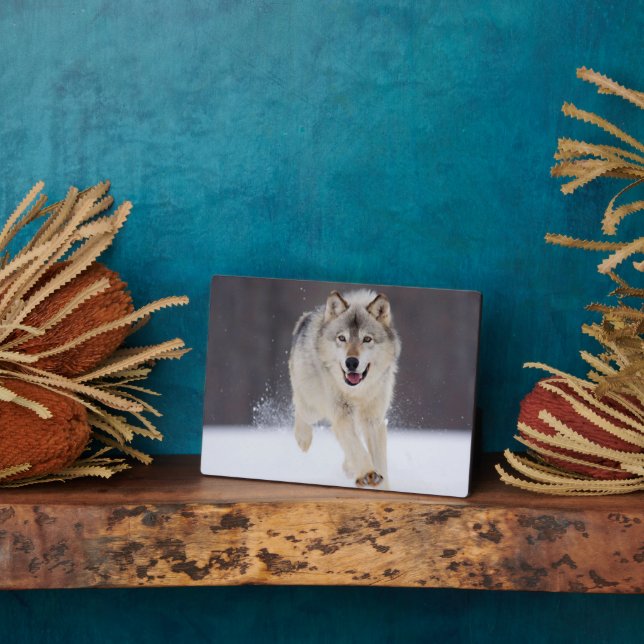 Photo Plaque-Wolf Plaque (Side)