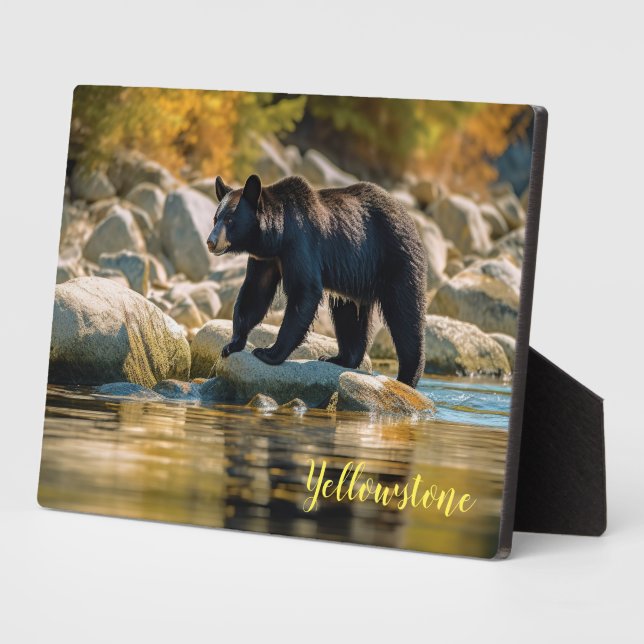 Photo Plaque-Yellowstone Black Bear Plaque (Side)