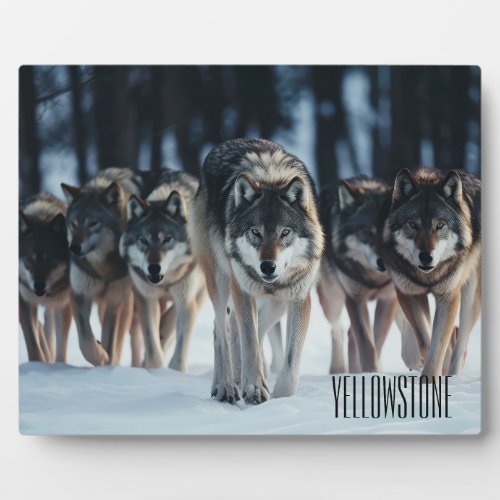 Photo Plaque_Yellowstone Wolves Plaque