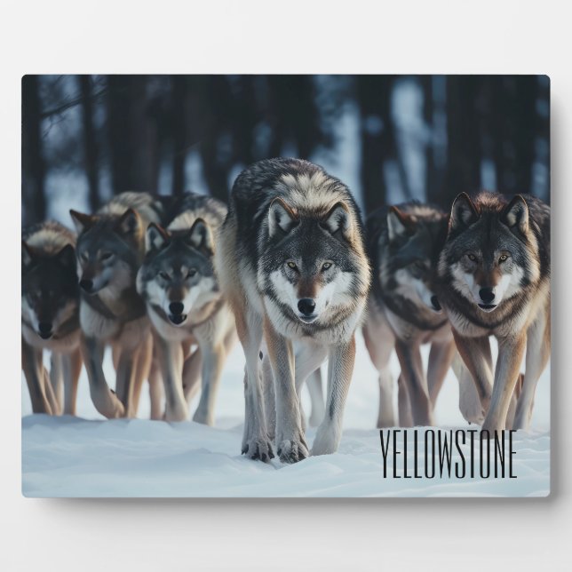 Photo Plaque-Yellowstone Wolves Plaque (Front)