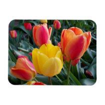 Photo Premium Magnet Photo Premium Magnet