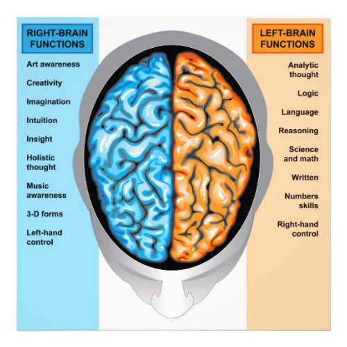Photo print Human brain left and right functions