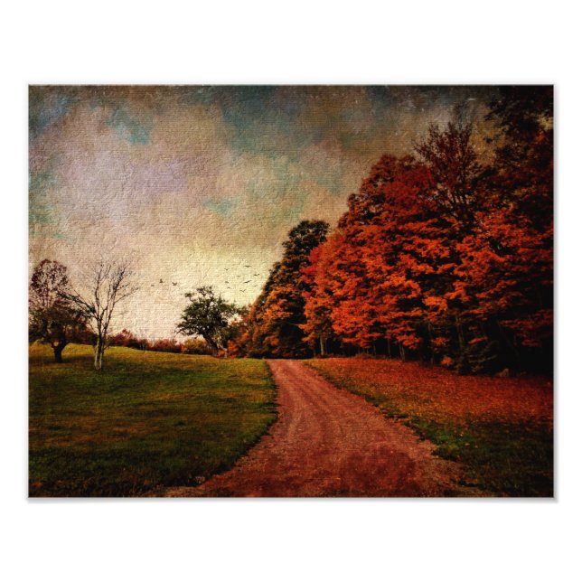 Photo Print-Mere Color Print (Front)