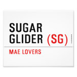 sugar glider  Photo Prints