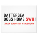 Battersea dogs home  Photo Prints