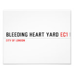 Bleeding heart yard  Photo Prints