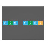 Dum Dums  Photo Prints