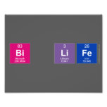 bi life  Photo Prints