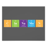 cinnamon  Photo Prints