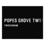 Popes Grove  Photo Prints