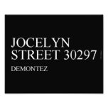 Jocelyn  Street  Photo Prints