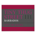 Tiny Thug Street  Photo Prints