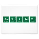 AUXITEX  Photo Prints