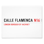 Calle Flamenca  Photo Prints