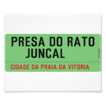 presa do rato     juncal  Photo Prints
