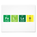 PAllab  Photo Prints