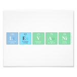 levani  Photo Prints