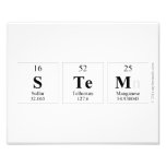 stem  Photo Prints