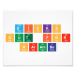 dicks
 out for
 harambe  Photo Prints