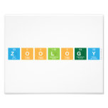 Zoology  Photo Prints