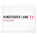 Kingfisher Lane  Photo Prints