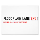 Floodplain lane  Photo Prints