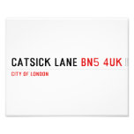 Catsick Lane  Photo Prints
