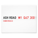 Ash road   Photo Prints