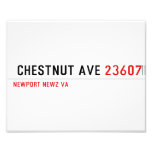  Chestnut Ave  Photo Prints
