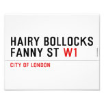 hairy bollocks fanny st  Photo Prints