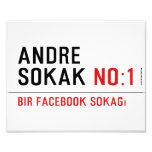 ANDRE SOKAK  Photo Prints
