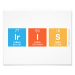 Iris  Photo Prints