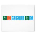 primavera  Photo Prints