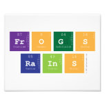 frogs
 rains  Photo Prints