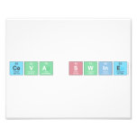 Ceva Swine  Photo Prints