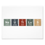 NAUTILUS  Photo Prints