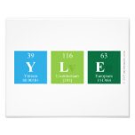 YLE  Photo Prints