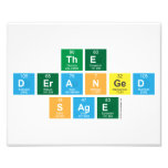 The
 Deranged
 Sage  Photo Prints