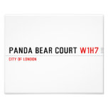 PANDA BEAR COURT  Photo Prints