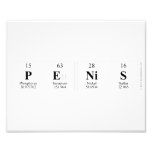 penis  Photo Prints