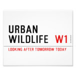 URBAN WILDLIFE   Photo Prints
